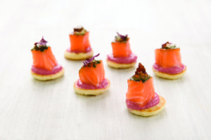 salmon-eneldo 5