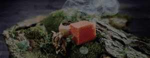 Imagen_header_02 5