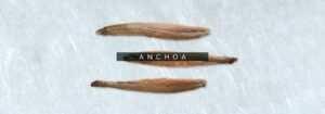 cabecebra-anchoa 5