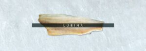 cabecebra-lubina 5