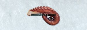 cabecebra-pulpo 5