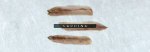cabecebra-sardina 5