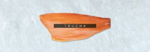 cabecebra-trucha 5