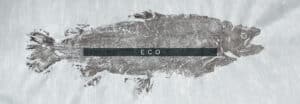 ecocat 5