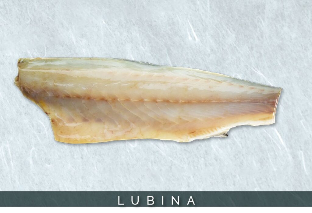 Lubina - Benfumat