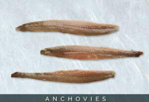 anchoviesm 5