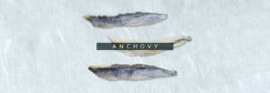 anchovy 5