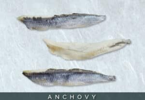 anchovym 5