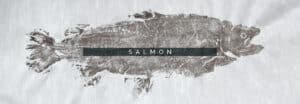 salmon 5