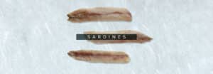 sardines 5